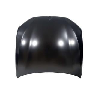Capot (Aluminium) photo 1