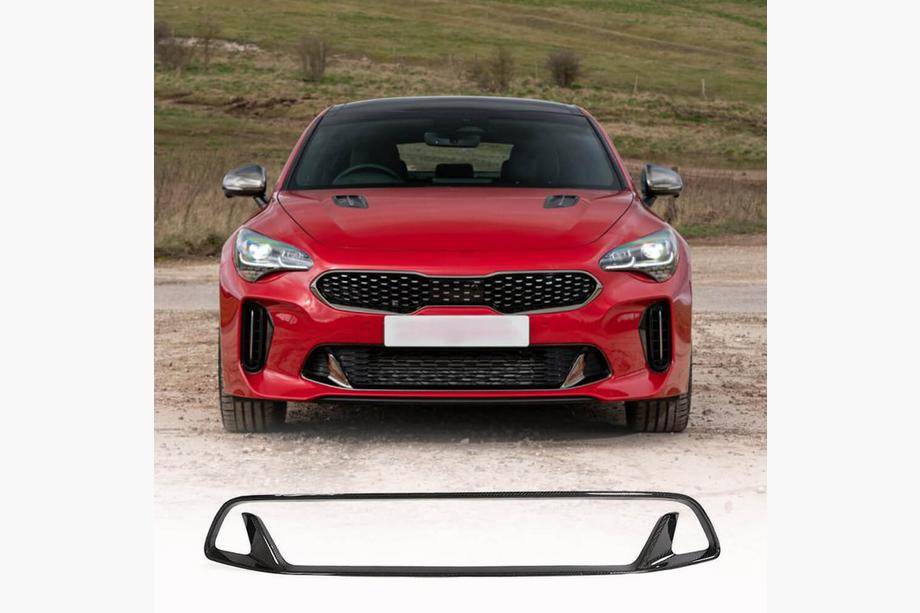 Kia Stinger 2017-2023 Grille de pare-chocs (Carbone) Image