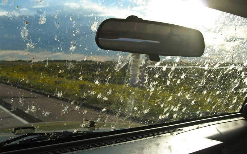 Comment nettoyer les vitres de voiture des insectes ?