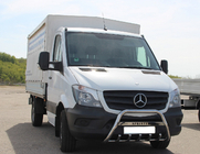 Mercedes Sprinter W906 2006–2018 Pare-buffle WT003 (Inox) 60mm, avec inscription photo 1