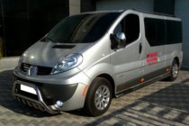 Opel Vivaro 2001–2015 Pare-buffle WT003-4 (Inox) Avec Inscription photo 11