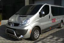 Renault Trafic 2001–2015 Pare-buffle WT003-4 (Inox) photo 3