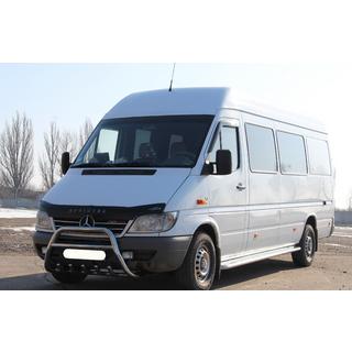 Pare-buffle WT003 (Inox) Mercedes Sprinter W901/902/903/904/905 1995–2006 photo 4
