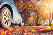 Préparer sa voiture pour l’automne : nécessité ou perte de temps ? photo 1