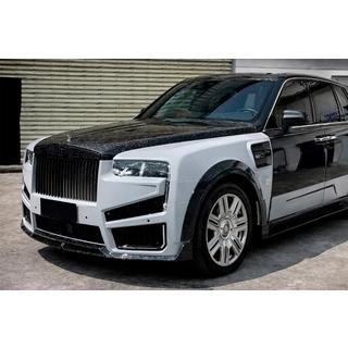 Kit carrosserie MNSR Carbon (pour 2024+) photo 1