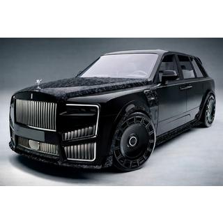 Kit carrosserie MNSR Carbon (pour 2024+) photo 2