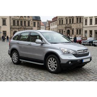 Marchepieds Latéraux Tayga Grey (2 pcs, Aluminium) photo 1