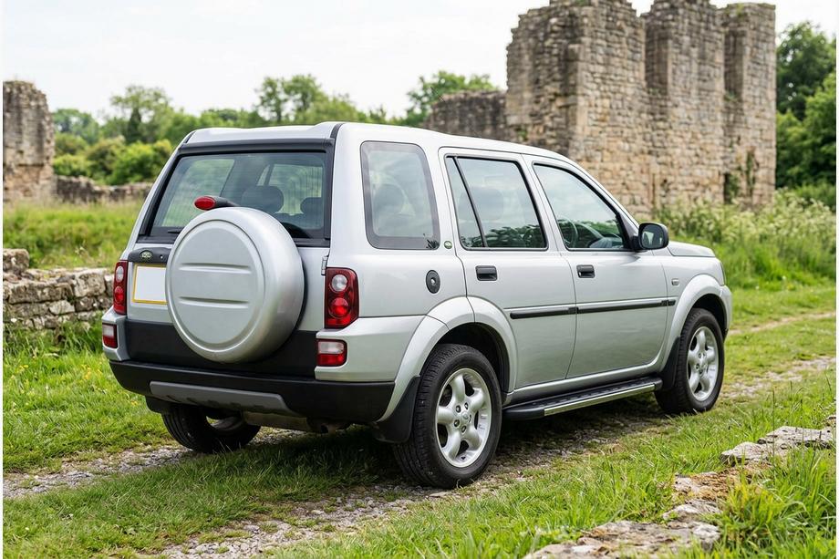 Land Rover Freelander I 1997-2006 Marchepieds Latéraux Duru (2 pcs, Aluminium) Image