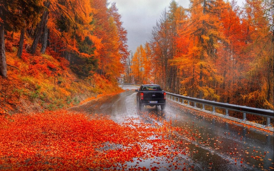 Quels dangers l’automne réserve-t-il aux automobilistes ?