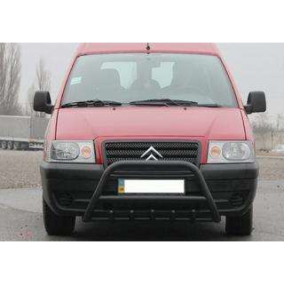 Pare-buffle WT003 Noir Inox photo 1