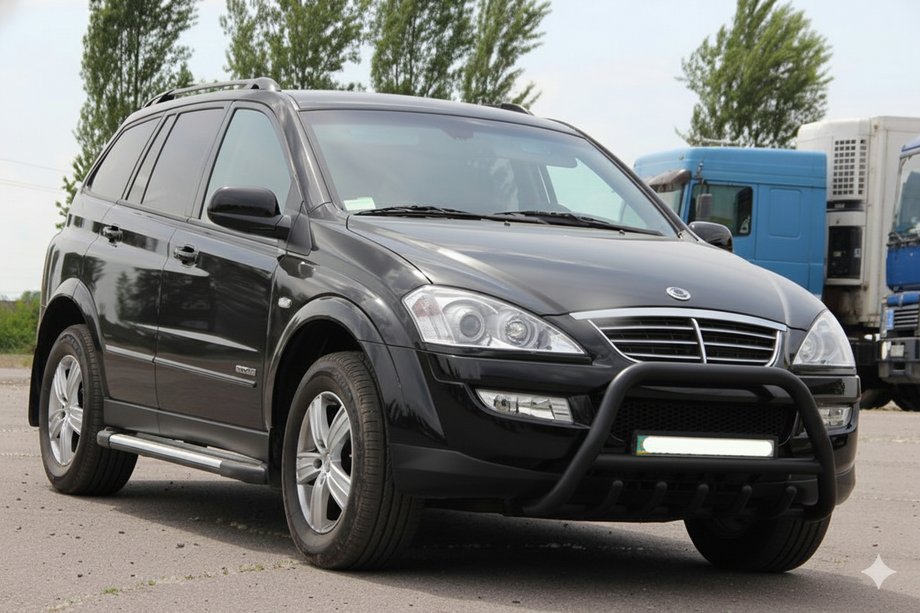 SsangYong Action 2005-2018 Pare-buffle WT003 Noir Inox Image