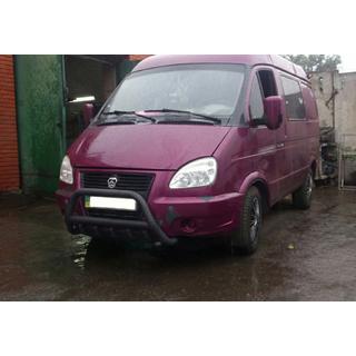 Pare-buffle WT003 Noir (Inox) photo 3