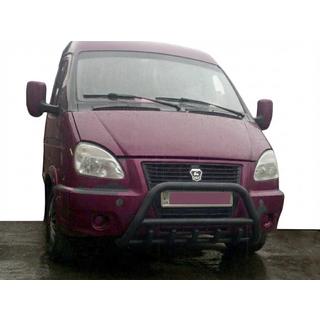 Pare-buffle WT003 Noir (Inox) photo 1