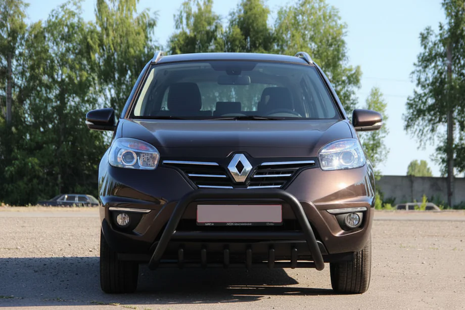Renault Koleos 2008-2016 Pare-buffle WT003 Noir (Inox) Photo 8