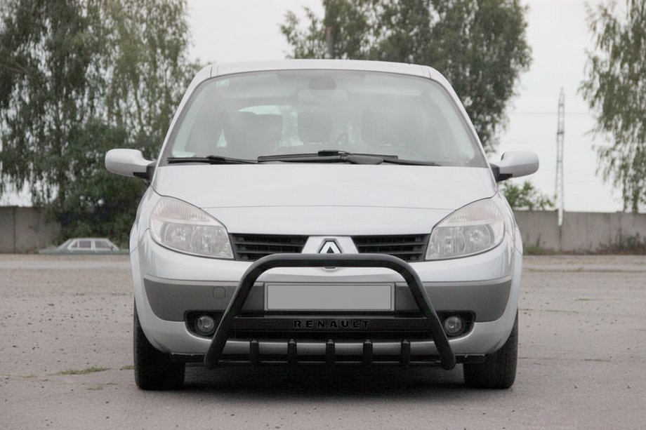 Renault Scenic/Grand 2003-2009 Pare-buffle WT004 Noir (Inox) Image