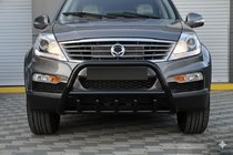 SsangYong Rexton I 2001-2017 Pare-buffle WT003 Noir Inox photo 1