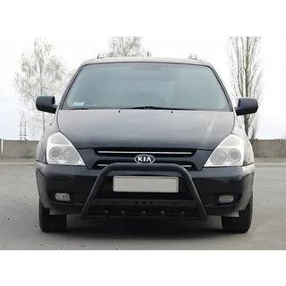 Pare-buffle WT004 Noir (Inox) photo 1