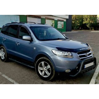 Pare-buffle WT004 Noir (Inox) photo 1