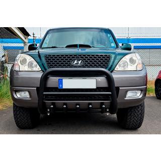 Pare-buffle WT003 Noir Inox photo 1