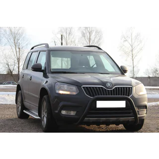 Pare-buffle WT003 Noir Inox photo 1