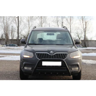 Pare-buffle WT003 Noir Inox photo 3