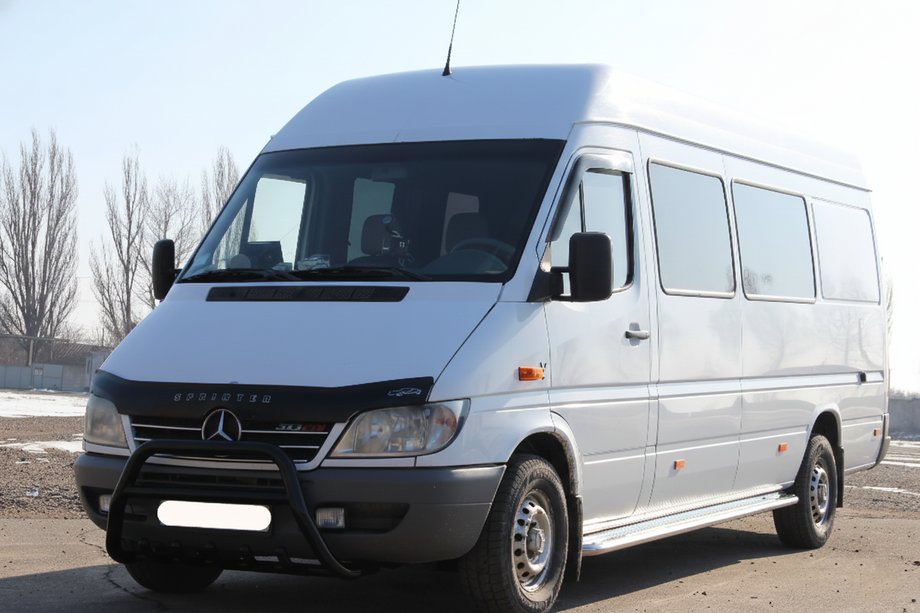 Mercedes Sprinter W901/902/903/904/905 1995–2006 Pare-buffle WT003 Noir (Inox) 1995-2000 Image