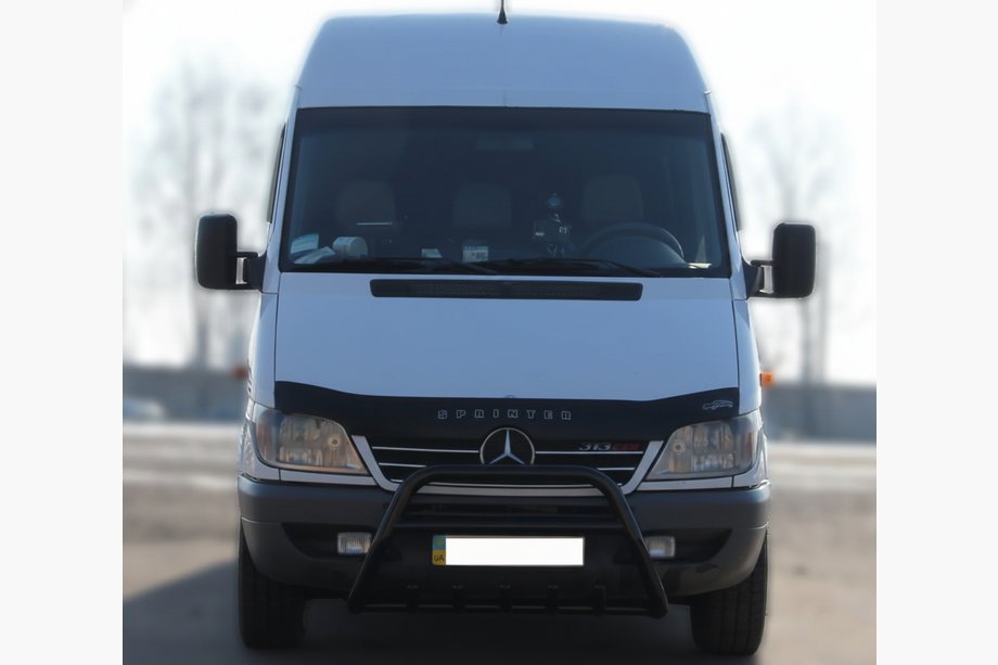 Mercedes Sprinter W901/902/903/904/905 1995–2006 Pare-buffle WT003 Noir (Inox) Photo 3