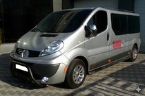 Opel Vivaro 2001–2015 Pare-buffle WT003 Noir (Inox) photo 2