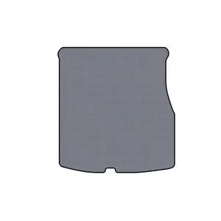 Tapis de coffre en caoutchouc Carsuit V2 (2004-2006, gris)