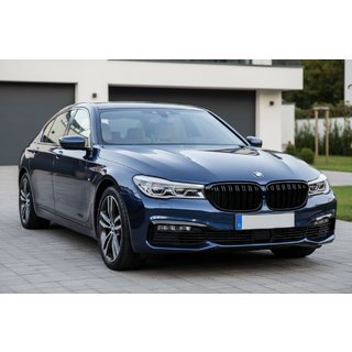 Grilles M-Look (2016-2019, Noir Brillant) BMW 7 Series G11/G12 2015-2022 photo 1