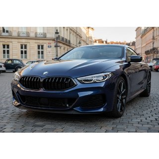 Calandre 1-Bar (2018-2022, Noir Brillant) BMW 8 Series G14/G15/G16 2018- photo 1