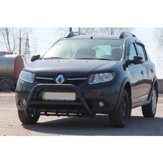 Pare-buffle WT003 Noir Inox photo 1
