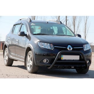 Pare-buffle WT003 Noir Inox photo 3