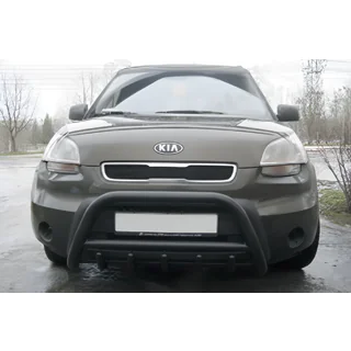 Pare-buffle WT003 Noir Inox photo 1