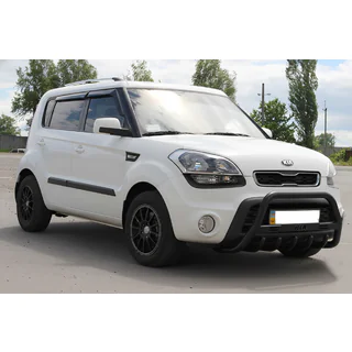 Pare-buffle WT004 Noir (Inox) photo 2