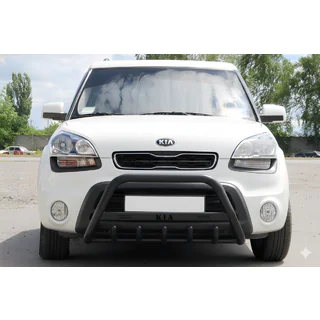 Pare-buffle WT004 Noir (Inox) photo 1