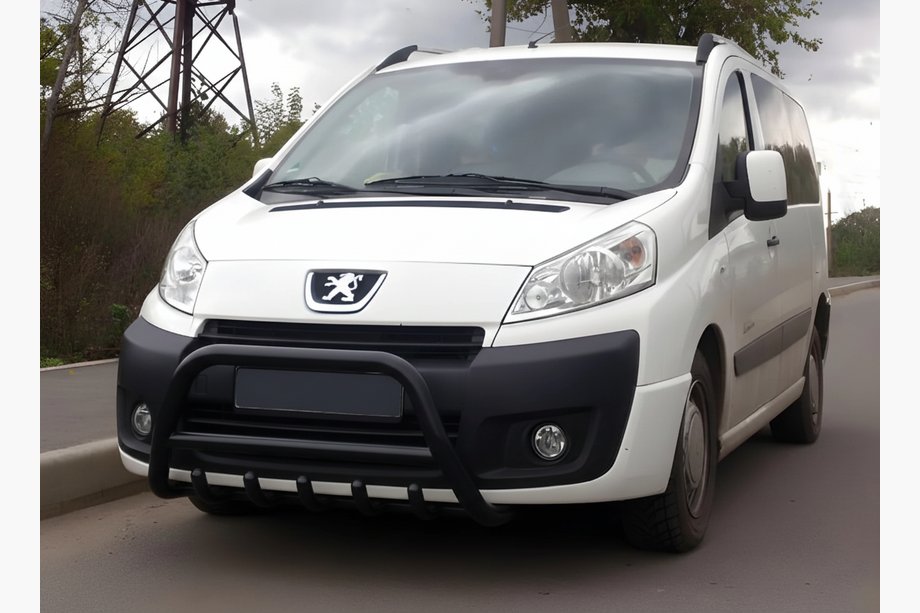 Citroen Jumpy 2007–2017 Pare-buffle WT003 Noir Inox Image