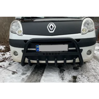 Pare-buffle WT004 Noir (Inox) photo 1