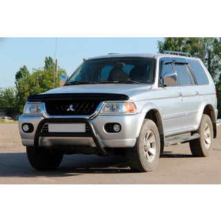 Pare-buffle WT022 Noir (Inox) photo 3