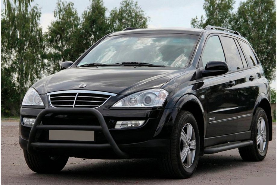 SsangYong Kyron 2005-2014 Pare-buffle WT022 Noir (Inox) Image