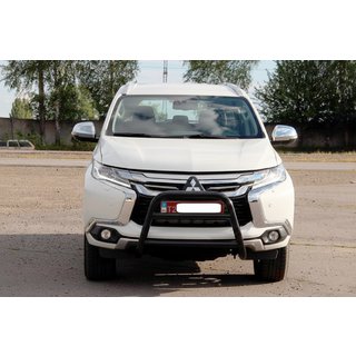 Pare-buffle WT022 Noir (Inox) photo 1
