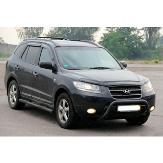 Pare-buffle WT007 Noir (Inox) photo 2