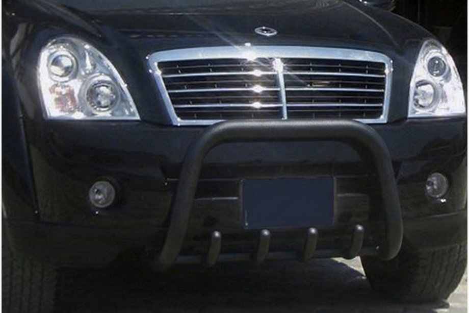 SsangYong Rexton I 2001-2017 Pare-buffle QT006 Noir (Inox) Image