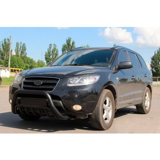 Pare-buffle WT002 Noir (Inox) photo 1