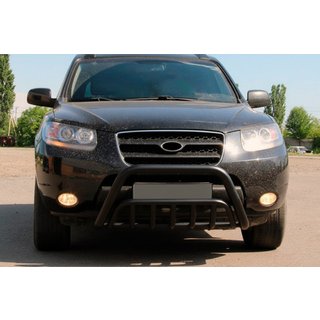 Pare-buffle WT002 Noir (Inox) photo 2