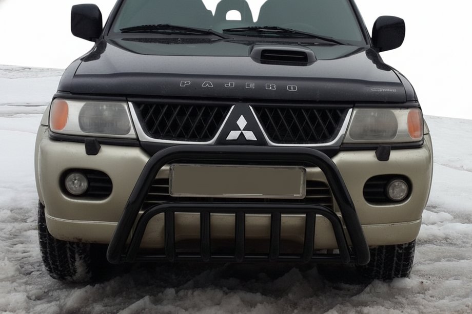 Mitsubishi Pajero Sport 1996-2007 Pare-buffle WT002 Noir (Inox) Image