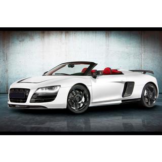 Kit carrosserie MNSR Carbon (pour Spyder) photo 3