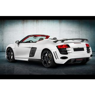 Kit carrosserie MNSR Carbon (pour Spyder) photo 4