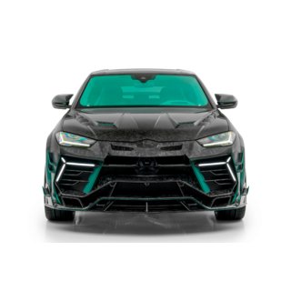 Kit carrosserie MNSR Carbon (pour S / Performante 2022-2024) photo 1