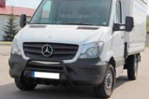 Mercedes Sprinter W906 2006–2018 Pare-buffle WT003 (noir) photo 2